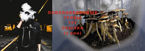 индика Балахна
