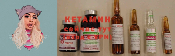индика Балахна