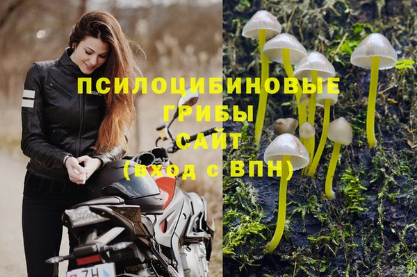 каннабис Белокуриха