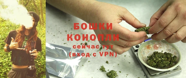 мяу мяу мука Беломорск